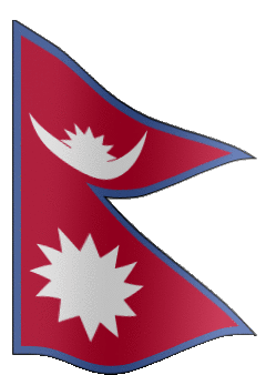 Secondary Logo